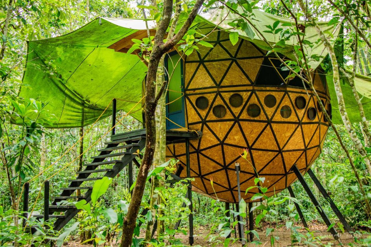Hotel Ecologico Makalombia La Macarena Dış mekan fotoğraf