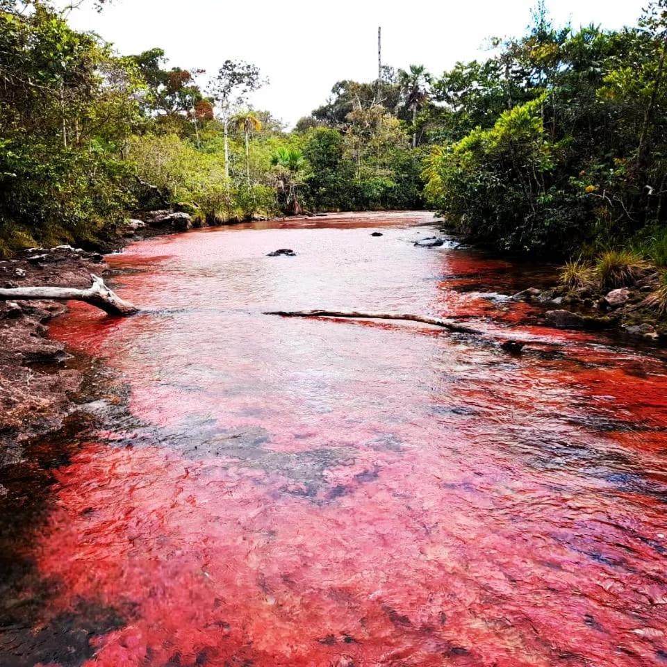 Hotel Ecologico Makalombia La Macarena Dış mekan fotoğraf