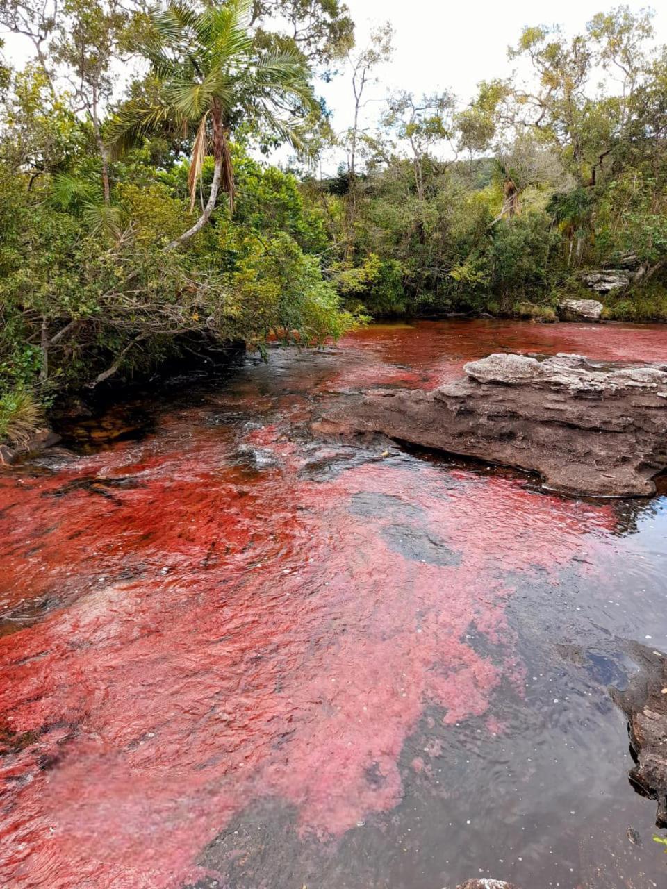 Hotel Ecologico Makalombia La Macarena Dış mekan fotoğraf
