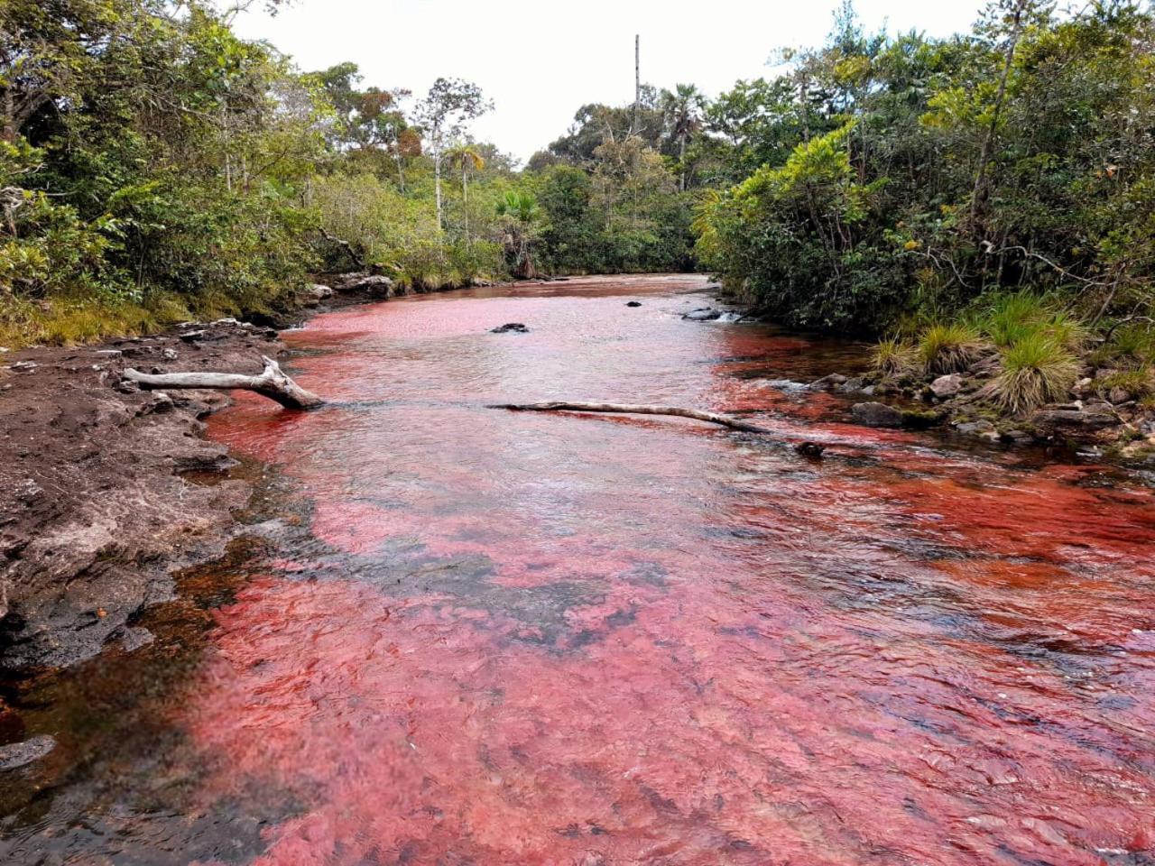 Hotel Ecologico Makalombia La Macarena Dış mekan fotoğraf
