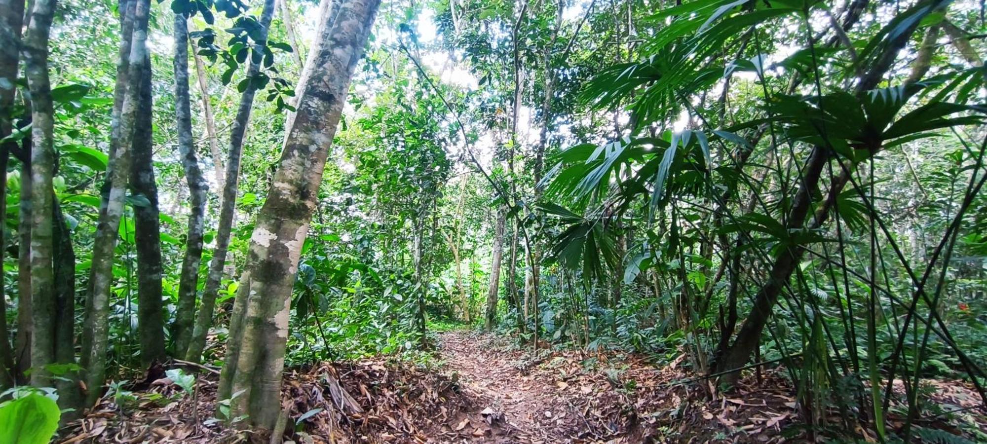 Hotel Ecologico Makalombia La Macarena Dış mekan fotoğraf