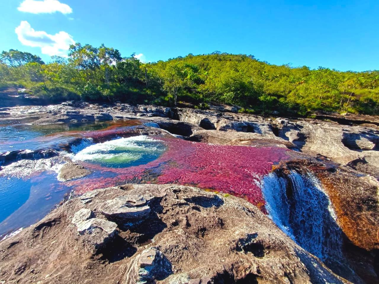 Hotel Ecologico Makalombia La Macarena Dış mekan fotoğraf