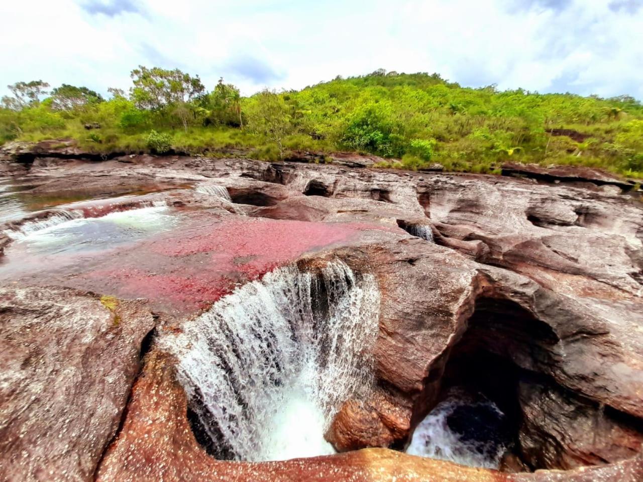 Hotel Ecologico Makalombia La Macarena Dış mekan fotoğraf