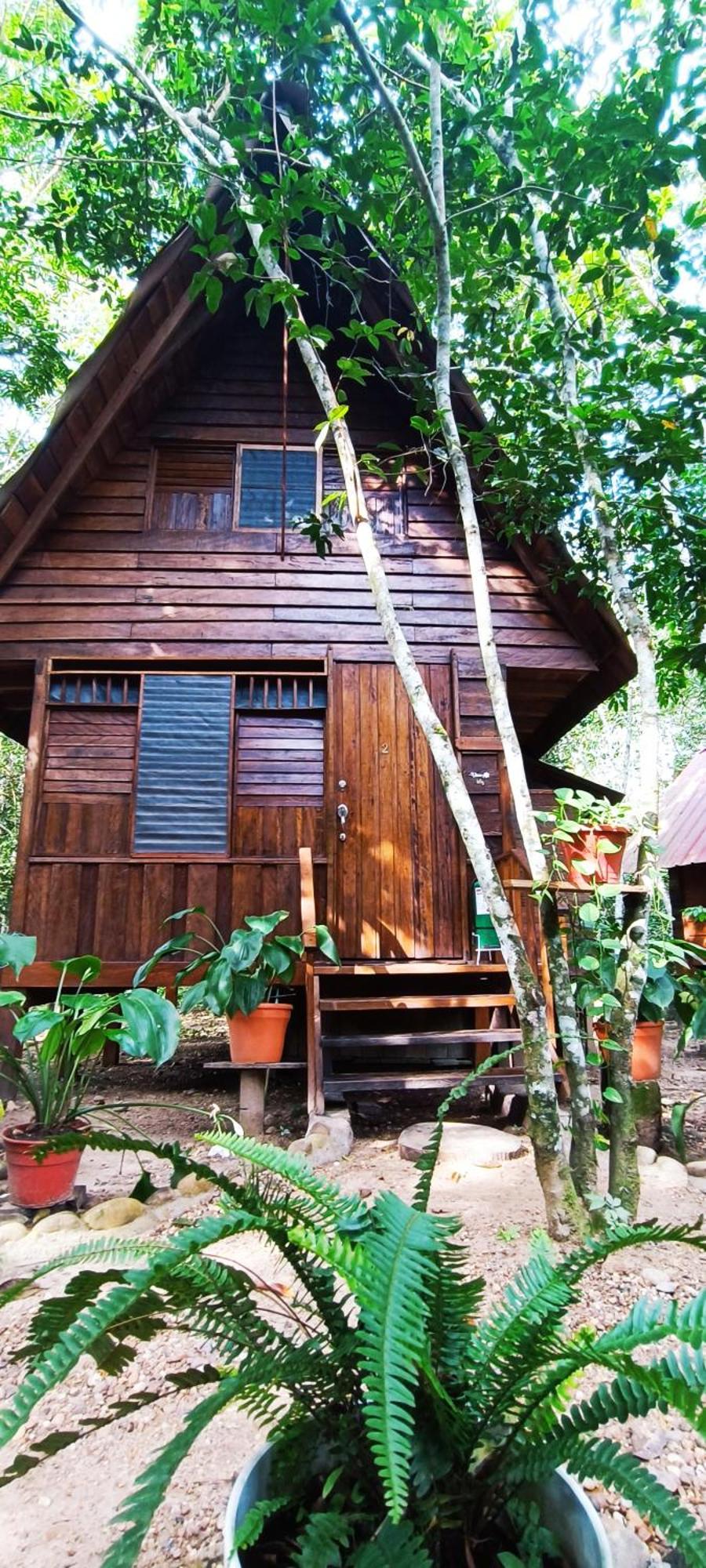 Hotel Ecologico Makalombia La Macarena Dış mekan fotoğraf
