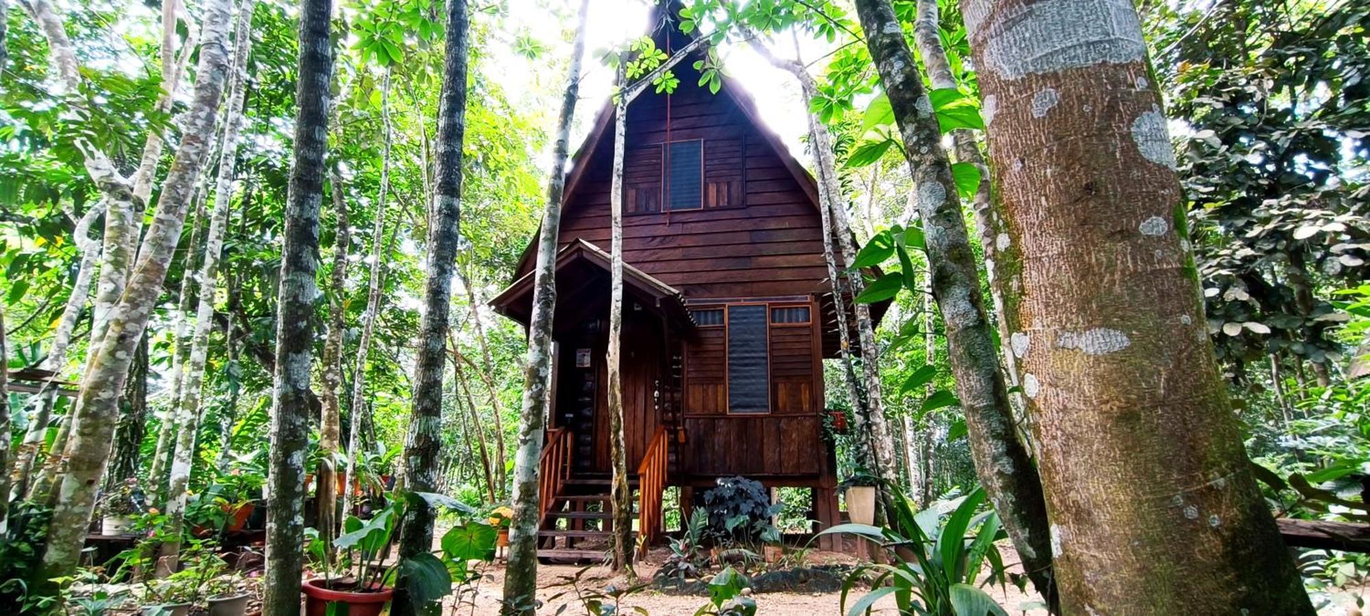 Hotel Ecologico Makalombia La Macarena Dış mekan fotoğraf